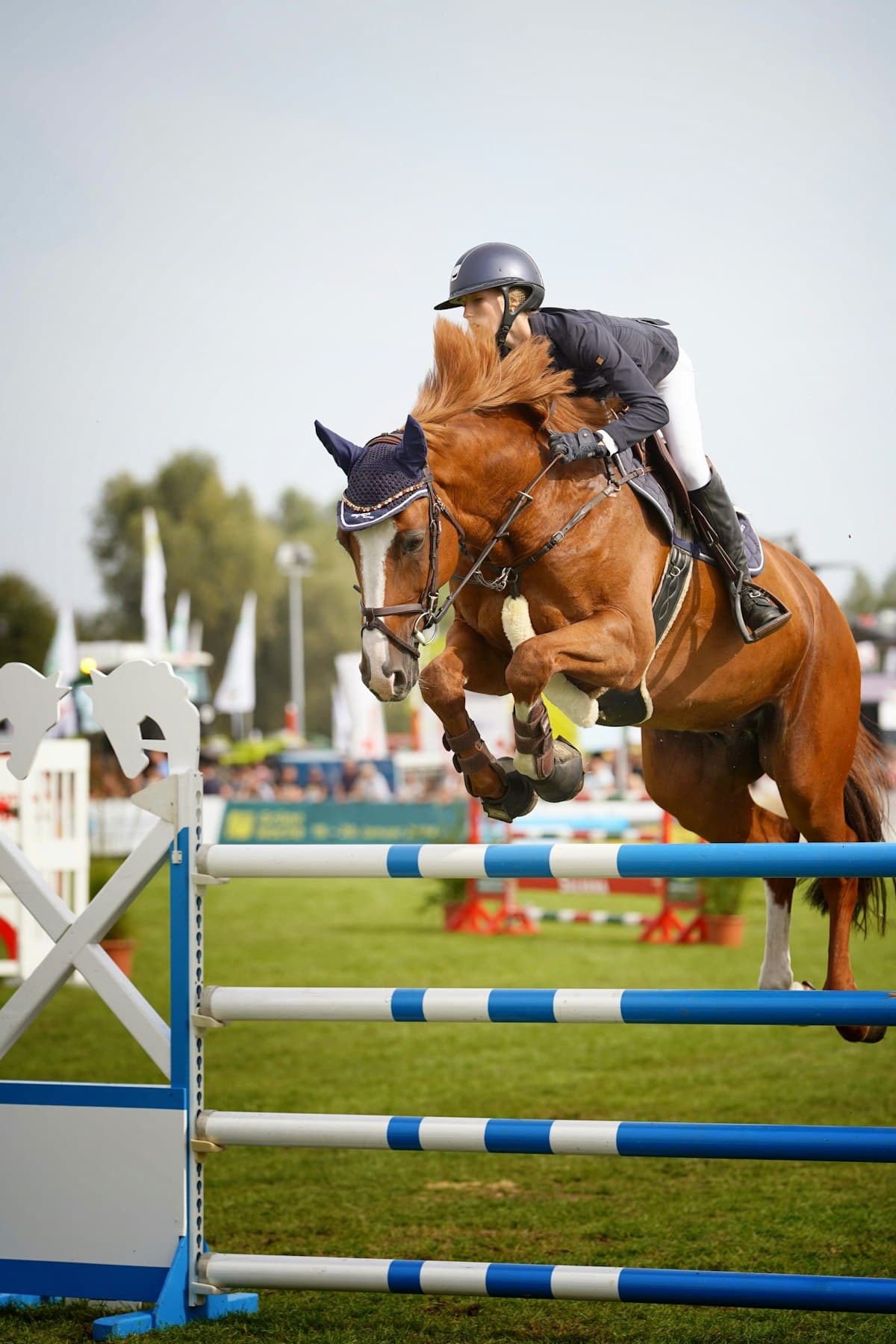 A rider on a chestnut horse jumping a fence at an outdoor show