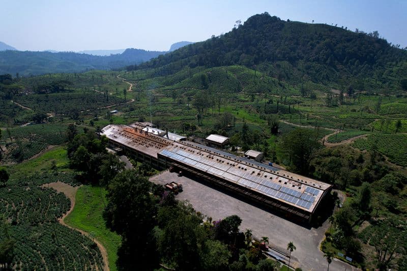 A Dyme-funded solar project