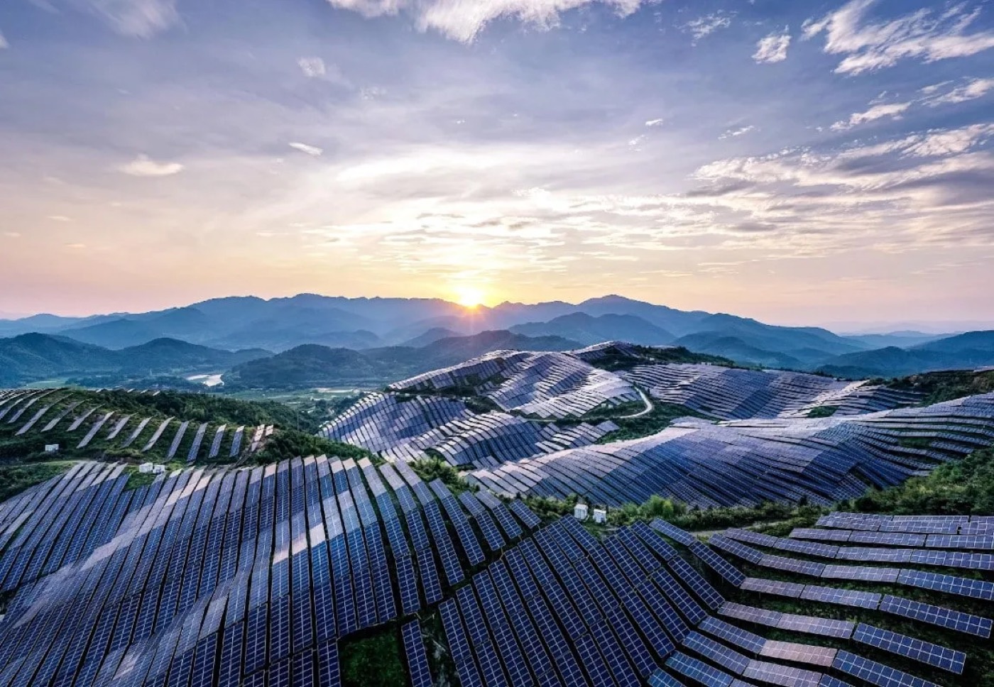 Rows of solar panels across green hills at sunset