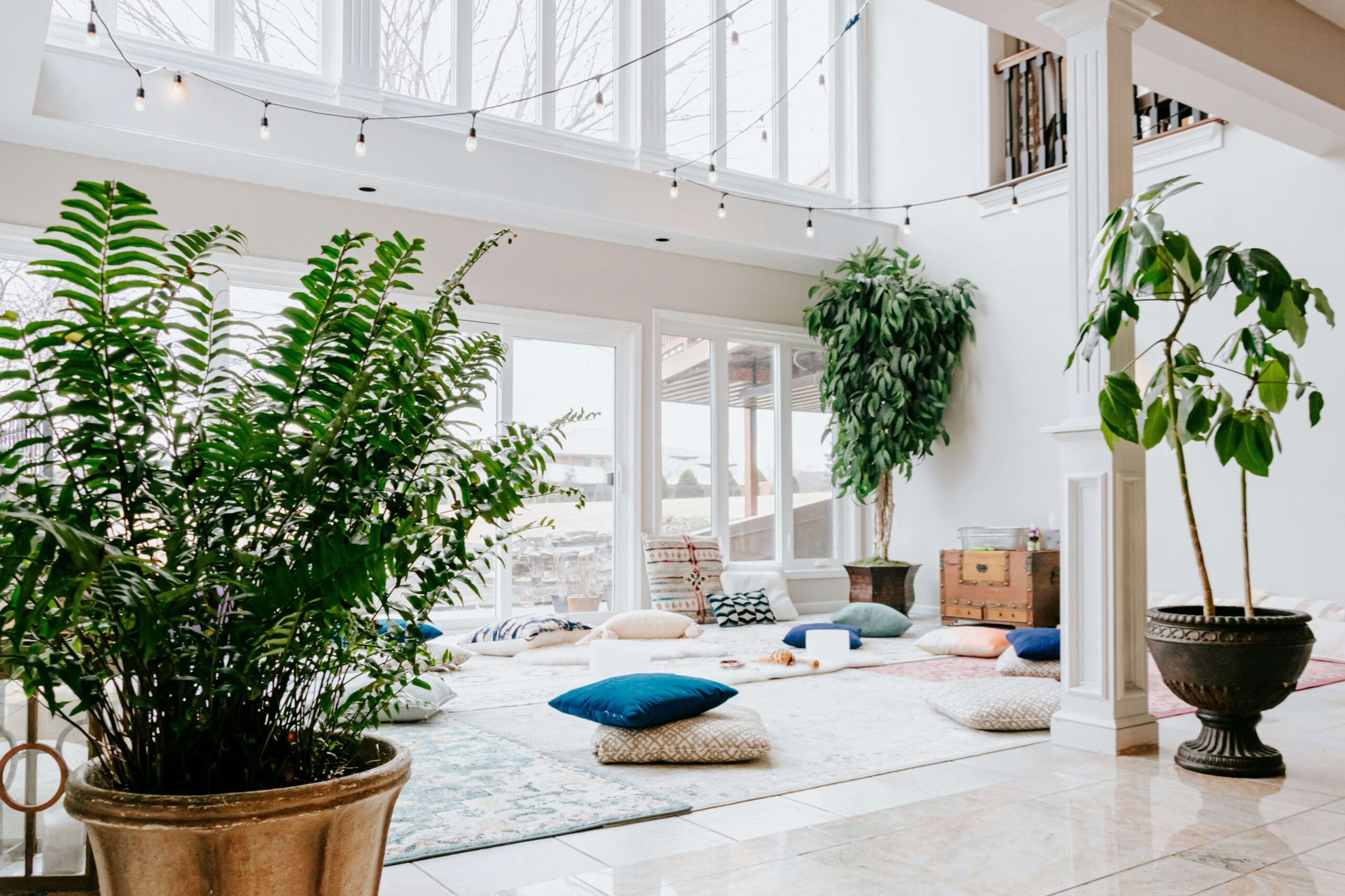 Bright room with large plants, string lights, floor cushions, and rugs, with sunlight streaming through windows.