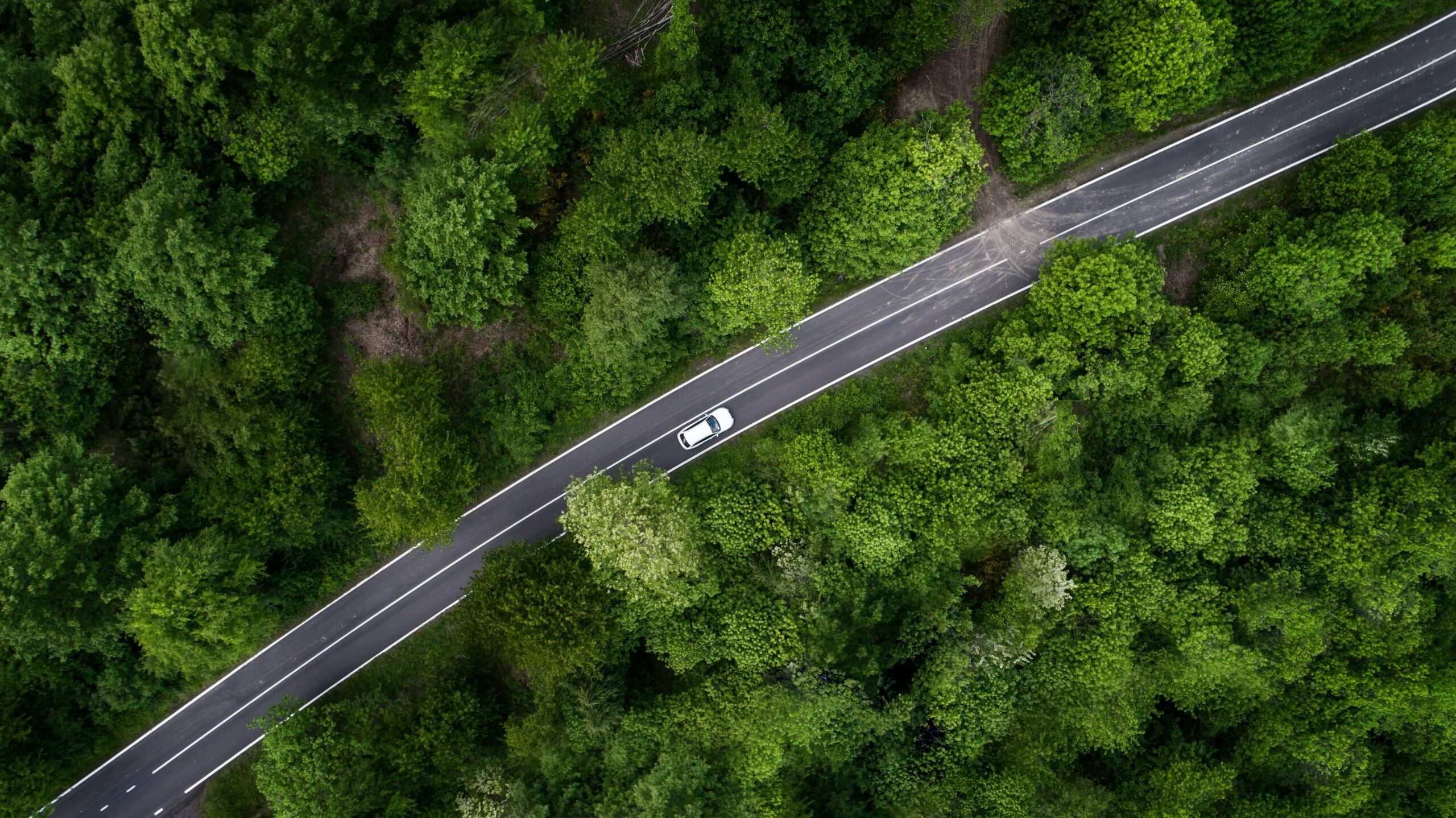A white car drives along a winding road surrounded by dense green forest, viewed from above.