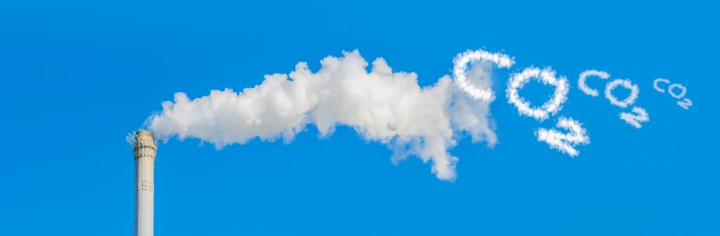 reduce carbon emissions from business travel