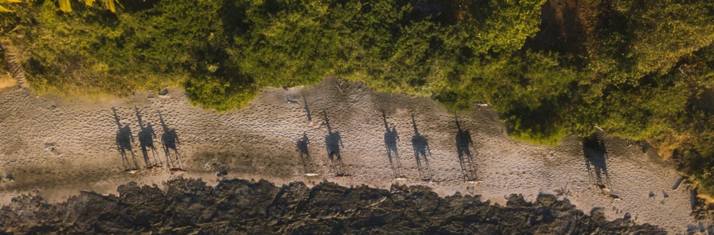 Aerial view of people casting long shadows on a sandy beach bordered by trees and rocks.