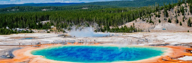 A vibrant, colorful hot spring with steam rising, surrounded by forest and visitors on boardwalks.