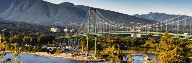 A green suspension bridge spans a river with forested mountains and trees in the background.