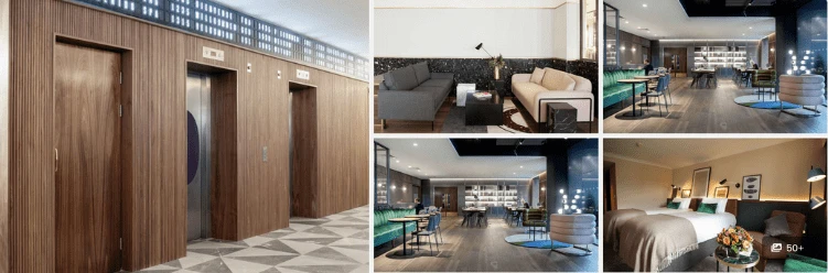 Eco-friendly hotels: The Alex Hotel