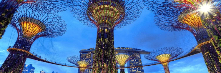 SuperTree Grove at Gardens by the Bay in Singapore, with Marina Bay Sands in the background at sunset.