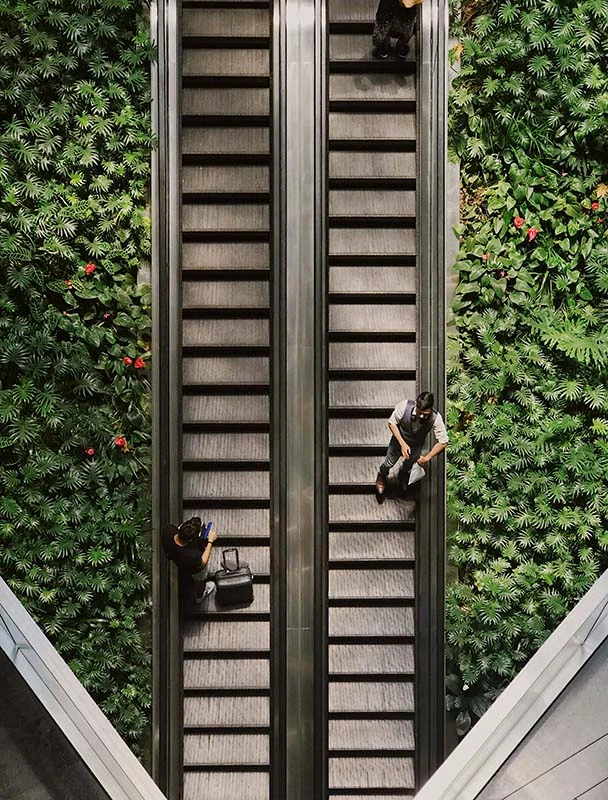 Two people ride parallel escalators surrounded by lush green plants and flowers.