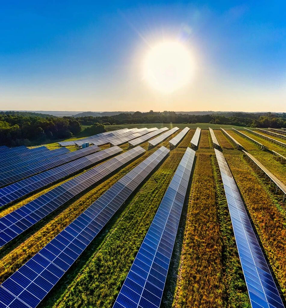 Rows of solar panels in a field under a bright sun with a clear blue sky.