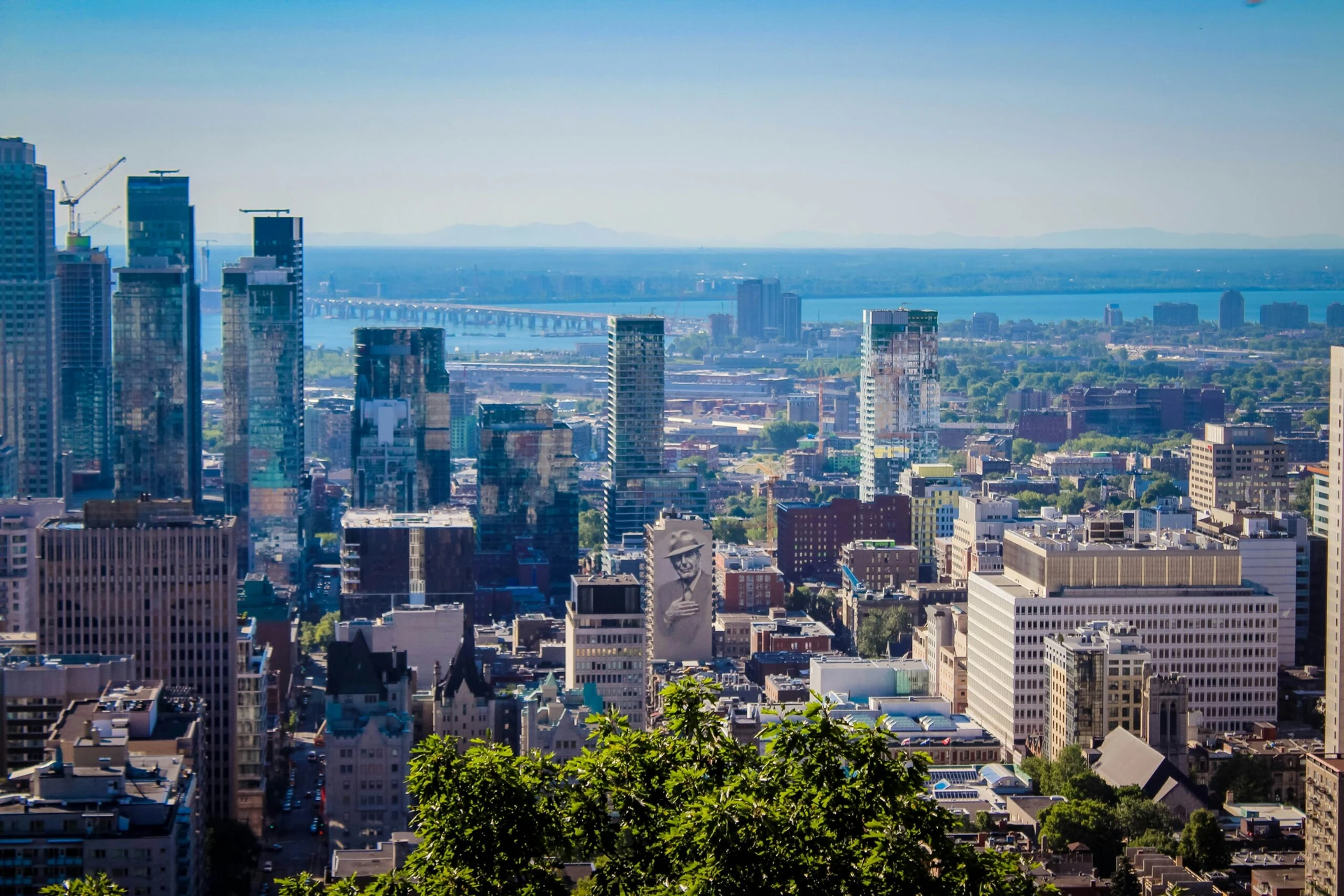 City skyline with tall glass buildings, leafy trees in foreground, and a river with a bridge in the background.