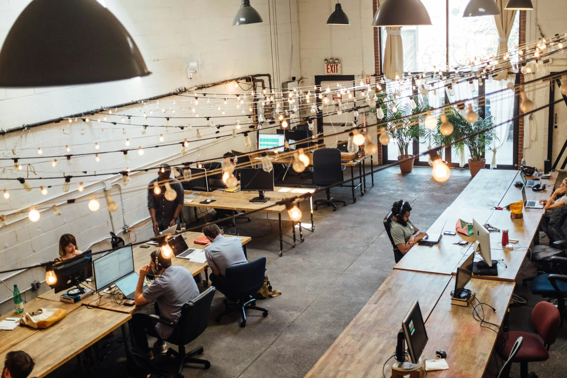 Open-plan office with people working at desks under string lights, with plants and computers visible.