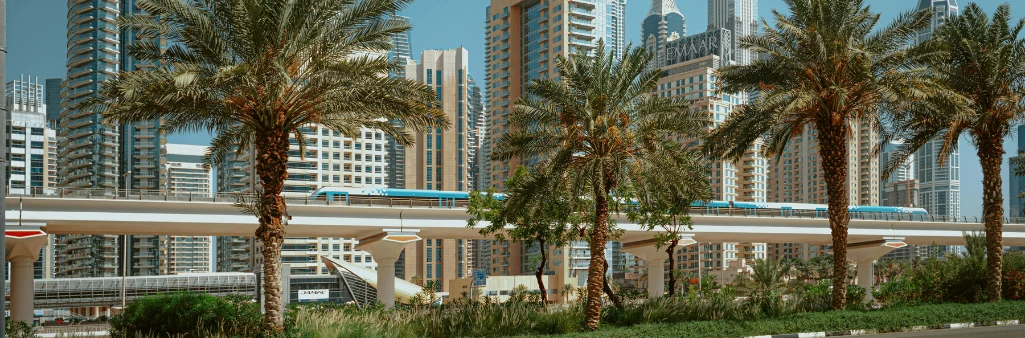 Palm trees and greenery in front of a modern city skyline with a monorail passing on an elevated track.